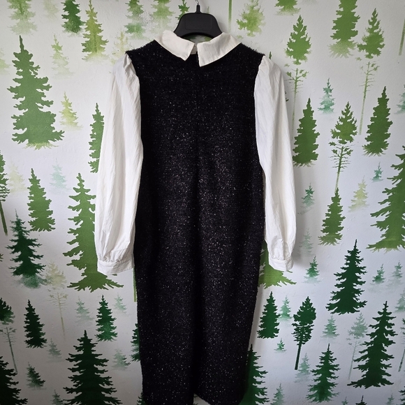 Black Sleeveless Dress with White Collar - Picture 2 of 11